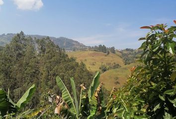 Lote de Terreno en  Jericó, Antioquia, Colombia