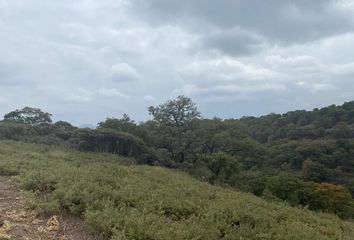 Lote de Terreno en  Villa Del Carbón, Estado De México, México