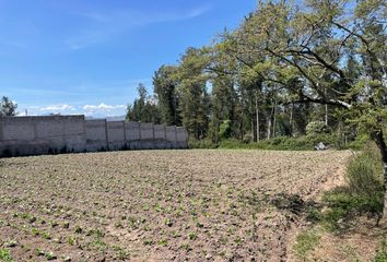 Terreno Comercial en  Puembo, Quito