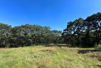 Lote de Terreno en  Villa Del Carbón, Estado De México, México