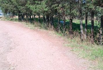 Lote de Terreno en  Chapa De Mota, Estado De México, México