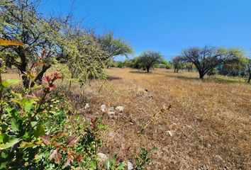 Parcela en  Mostazal, Cachapoal