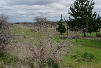 Parcela en  Ruta Los Conquistadores, Pillay, San Javier De Loncomilla, Chile