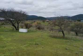 Parcela en  Ruta Los Conquistadores, Pillay, San Javier De Loncomilla, Chile