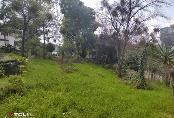 Lote de Terreno en  Michoacán 8, Santa Teresa, 10710 Ciudad De México, Cdmx, México