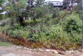 Lote de Terreno en  Barrio La Garita, San Cristóbal De Las Casas