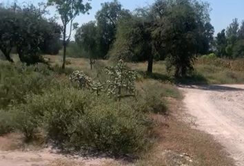 Lote de Terreno en  El Jiadi, Hidalgo, México