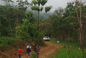 Terreno en  San Roque De Cumbaza, San Martín, Perú