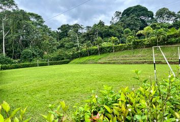 Terreno Comercial en  Pedro Vicente Maldonado, Ecuador