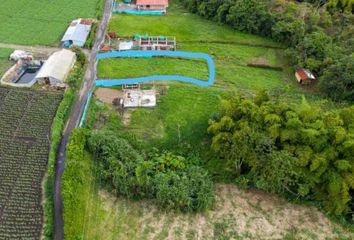 Lote de Terreno en  La Bella, Pereira, Risaralda, Colombia