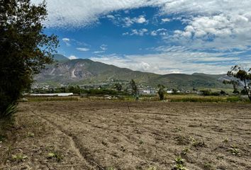 Terreno Comercial en  San Antonio De Pichincha, Quito, Ecuador