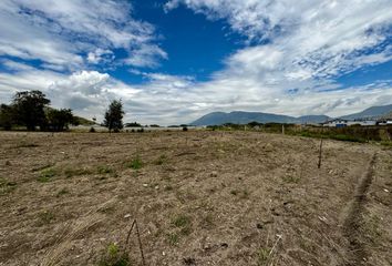 Terreno Comercial en  San Antonio De Pichincha, Quito, Ecuador