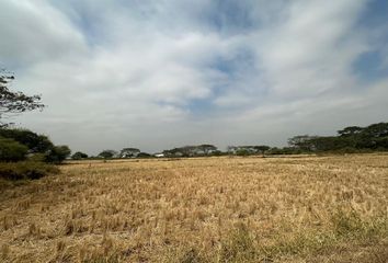 Terreno Comercial en  Tarifa, Samborondón