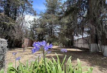 Lote de Terreno en  Jacarandas 24, Las Delicias, Santa Rita Tlahuapan, Puebla, México