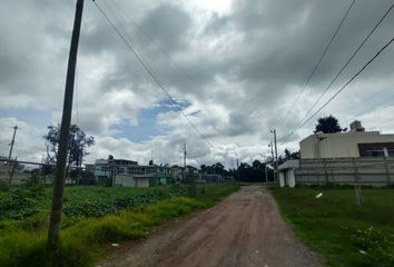 Lote de Terreno en  Los Dicios, San Martín Texmelucan