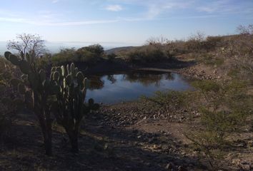 Lote de Terreno en  Purísima De Bustos, Guanajuato