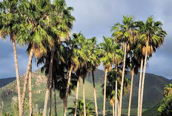 Lote de Terreno en  Baja Country Club, Francisco I. Madero, Ensenada, Baja California, México