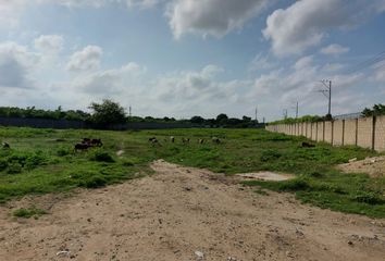 Lote de Terreno en  Centro, Soledad