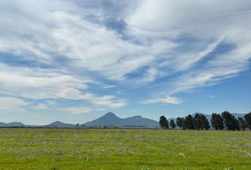 Parcela en  Quilapán, Polonia, San Fernando, Chile