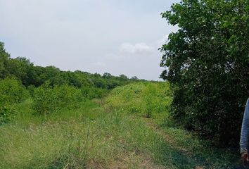 Lote de Terreno en  Pasacaballos, Provincia De Cartagena, Bolívar, Colombia