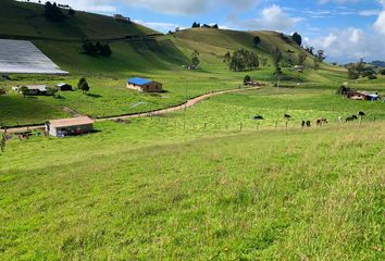 Lote de Terreno en  Chocontá, Cundinamarca