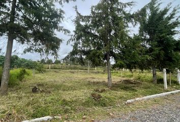 Lote de Terreno en  Carr. Miahuatlan-naolinco, Reforma, Miahuatlán, Veracruz, México