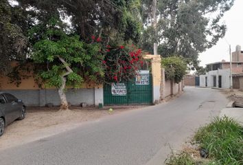 Terreno en  Grocio Prado, Chincha