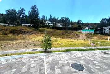 Terreno Comercial en  Tumbaco, Quito