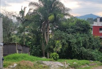 Lote de Terreno en  Colonia Vicente Lombardo Toledano, Veracruz, México