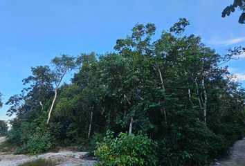 Lote de Terreno en  Avenida Fundadores De Tulum, La Veleta, Tulum, Quintana Roo, México