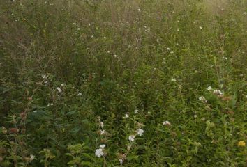 Lote de Terreno en  Flandes, Tolima