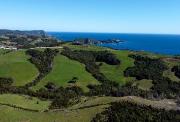 Parcela en  Los Muermos, Llanquihue