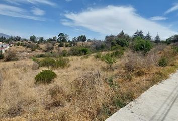 Lote de Terreno en  Proyecto Granja Hogar Bioclimática, Mz 005, Granjas Hogar Y Petrohuertos Delegación, Estado De México, México