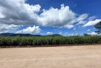 Lote de Terreno en  San Miguel De Allende, Guanajuato, México