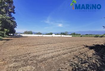 Lote de Terreno en  Vxm3+rfm Yautepec De Zaragoza, Morelos, México