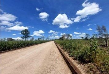 Lote de Terreno en  San Miguel De Allende, Guanajuato, México