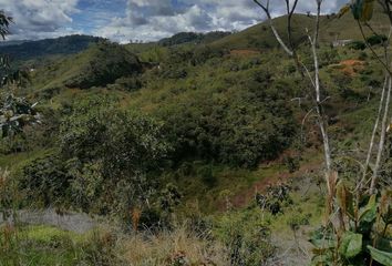 Lote de Terreno en  Alejandría, Antioquia, Colombia