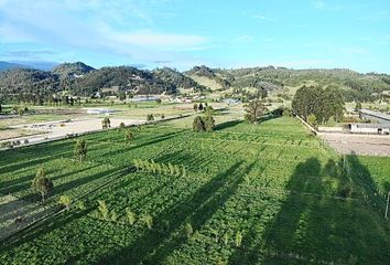 Lote de Terreno en  Sauzalito, Duitama