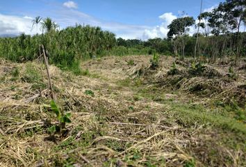 Lote de Terreno en  La Virginia, Risaralda