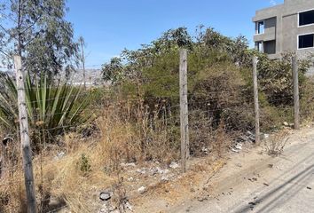 Terreno Comercial en  Jaime Roldós Aguilera & Séptima Transversal, Quito, Ecuador