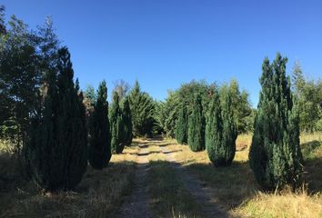 Parcela en  Chillán, Ñuble (región)