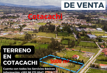 Terreno Comercial en  Cotacachi