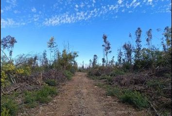 Parcela en  Yumbel, Bío-bío