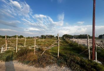 Lote de Terreno en  Chicxulub Puerto, Progreso, Z - Progreso, Yucatán