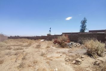 Terreno en  Apipa, Cerro Colorado, Arequipa, Perú