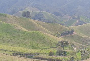 Villa-Quinta en  Abejorral, Antioquia