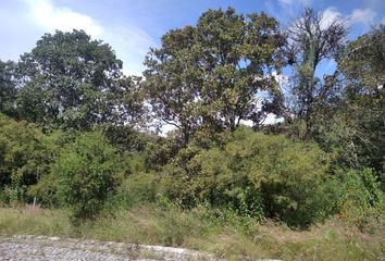 Lote de Terreno en  Calle Fernando Platas, Ciudad Ecologica, Conjunto Campestre Haras, Puebla, México