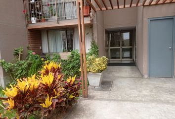 Departamento en  Condominio Parques De La Huaca 2da Etapa, Avenida Del Pacífico, San Miguel, Perú