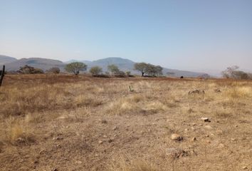 Rancho en  Cerrada López Mateos, Merced Sedano, Villa Corona, Jalisco, 45730, Mex