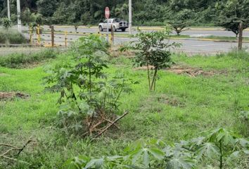 Terreno Comercial en  Santo Domingo De Los Colorados